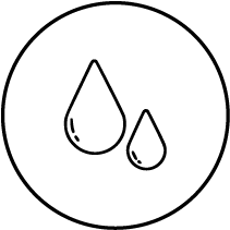 Custom Icon