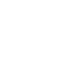 Custom Icon
