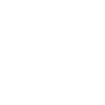 Custom Icon