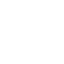 Custom Icon