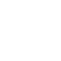 Custom Icon