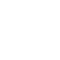 Custom Icon