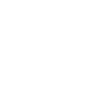 Custom Icon
