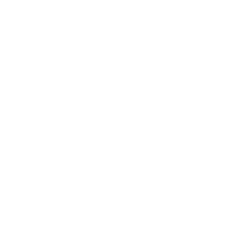 Custom Icon